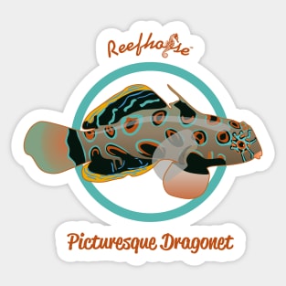 Picturesque Dragonet Sticker